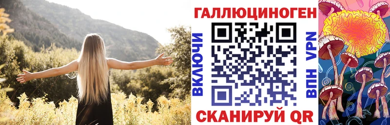 мега вход  Курск  даркнет официальный сайт  Псилоцибиновые грибы мицелий 